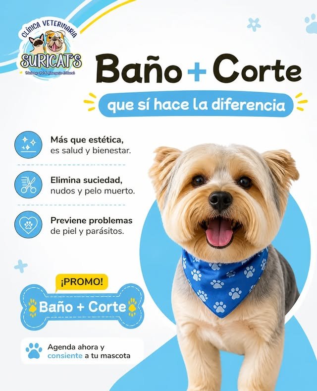 Baño y corte: cuándo es estético y cuándo es salud