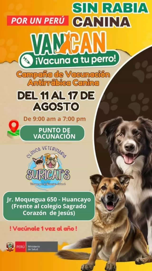 Calendario completo de vacunación para cachorros y gatitos